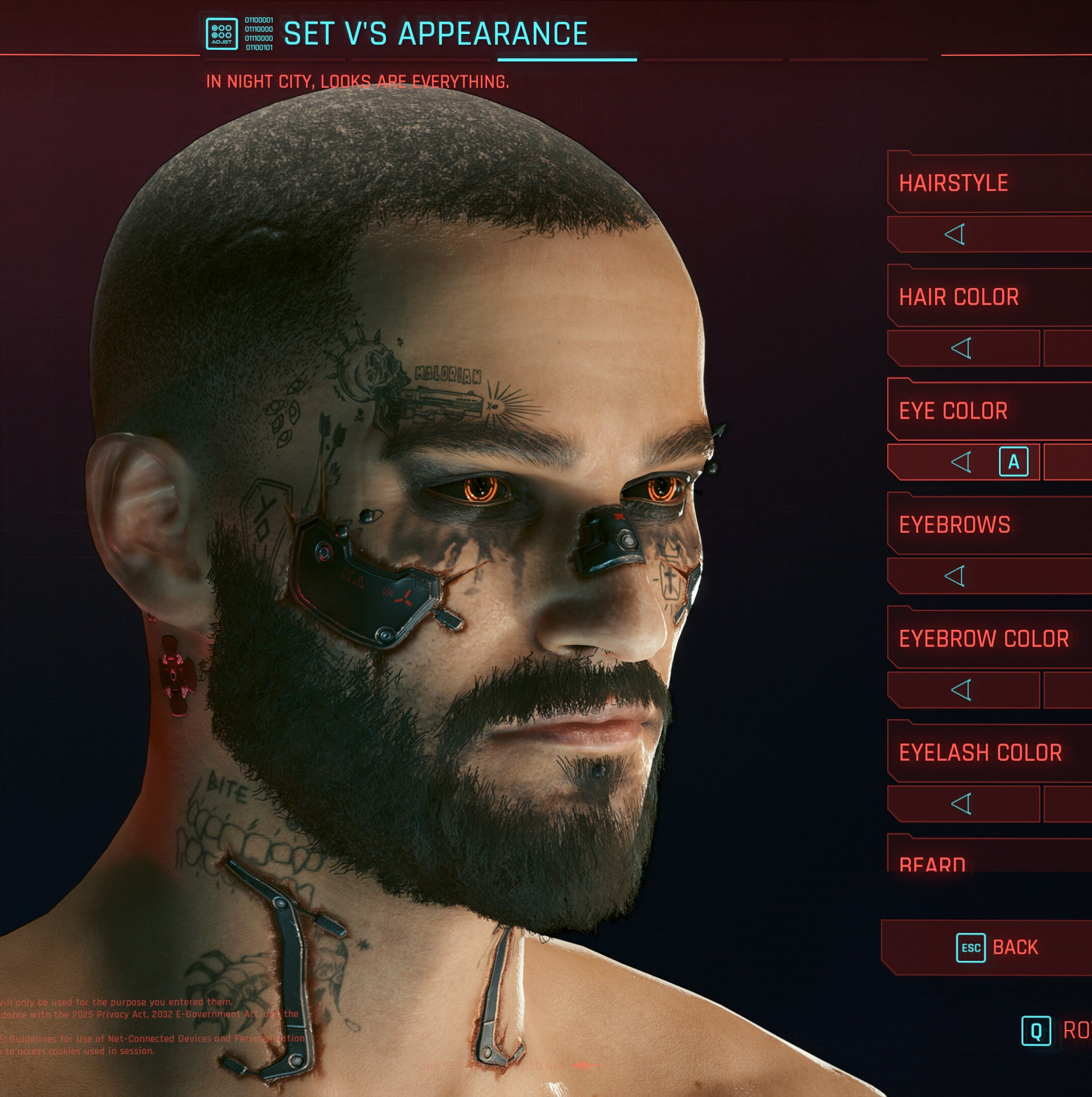 A screenshot from Cyberpunk character personalisation scene.